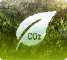 La inversión aumenta en la industria del plástico