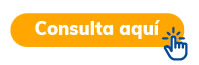 Consulta aquí